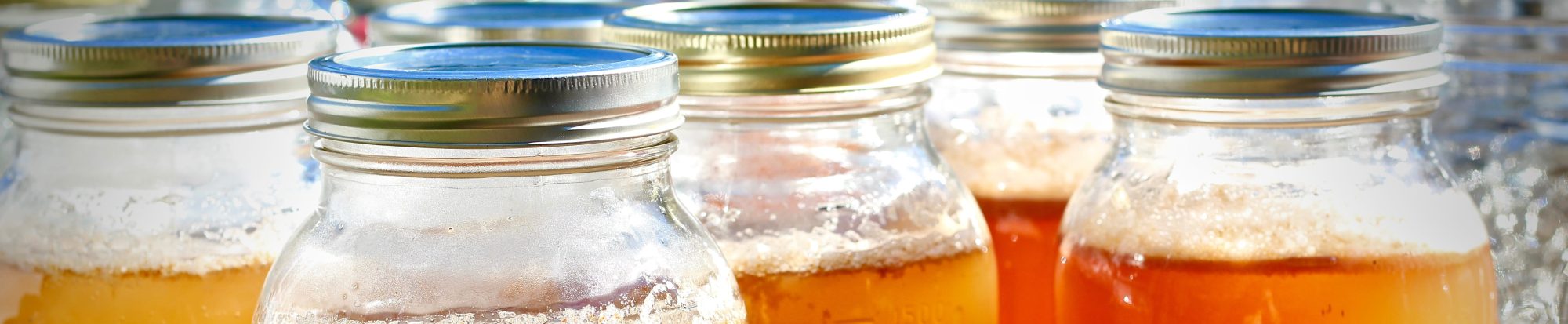 Fermented Beverages Hub